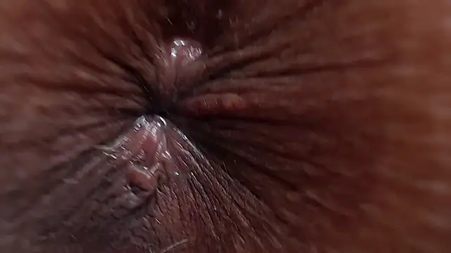 Chat XXX Live GanseloMix