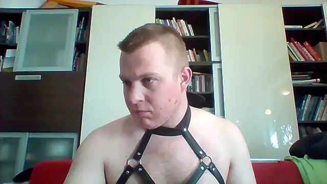 Matttthees webcam show