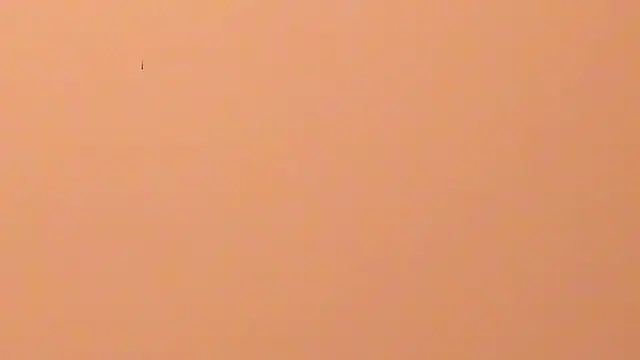 b3cky_ live XXX chat