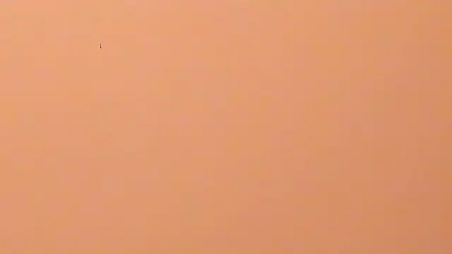 b3cky_ 라이브 XXX 채팅