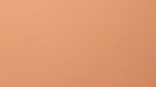 b3cky_ Live XXX-chat