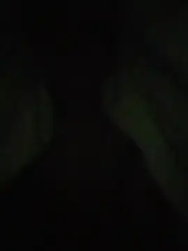 S7LEALTADPERVLIMA7 Show in webcam