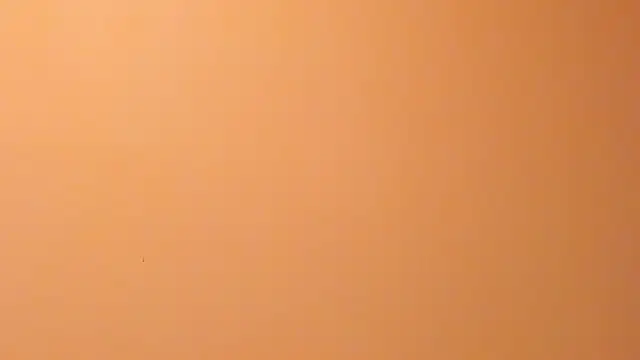 b3cky_ Live XXX-Chat