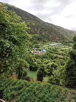 Cute_Lucky Webcamshow