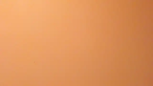 b3cky_'s Live XXX Chat