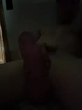 KBONE36 webkamerás műsora