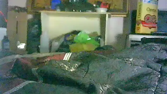 GUAPAN3S3_FIR3: διαδικτυακό σόου στην κάμερα