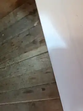 DeziBaby1087 ওয়েবক্যাম শো