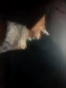 _uncle_Mitya-43_ Pertunjukan Webcam