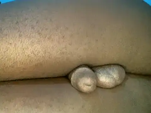 SLUTY_BBC Adlı Modelin Canlı XXX Sohbeti