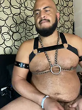 the_master_foal_ webkamerás műsora