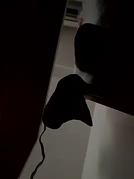 rikutorikukuto: διαδικτυακό σόου στην κάμερα