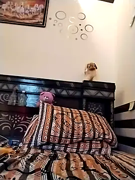 Wild_Vassu Chat XXX in diretta