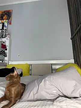 LittleFox___ Live XXX Chat