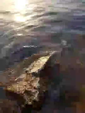 عرض كام Slave_master_69