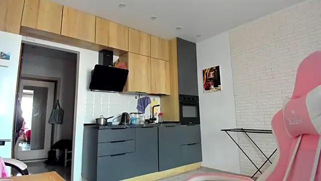 _Alice_Kittyn Webbikameraesitys