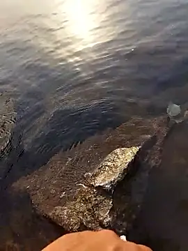 Slave_master_69 Webcam show