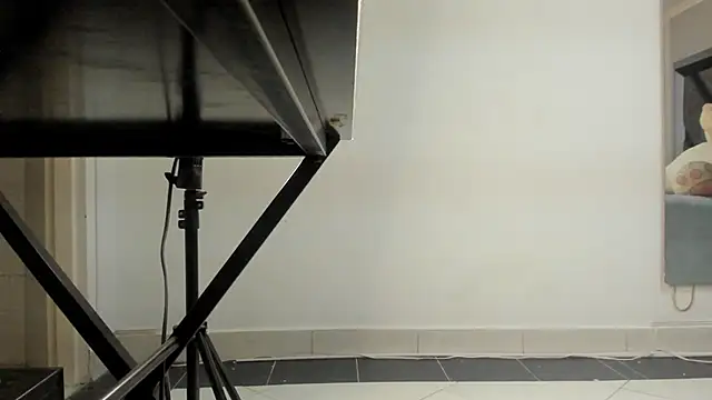 ElektraBomdans Adlı Modelin Web Kamerası Şovu