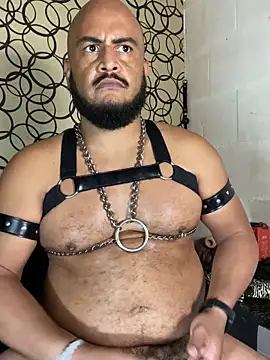 the_master_foal_ 网络视讯表演