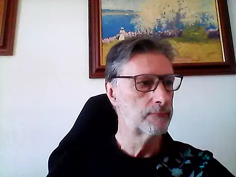 Show webcam de jean074213