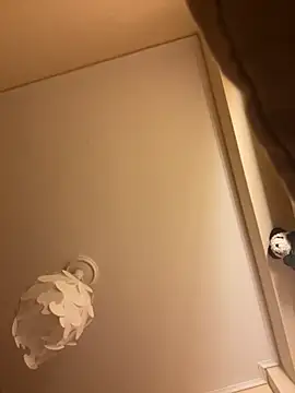 Show webcam de TeoBigMan