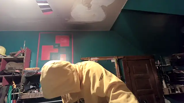 charactrzero Show in webcam