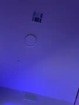 FerrariFrenchのウェブカメラショー