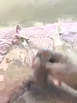 cum4mheaven Webcam-Show