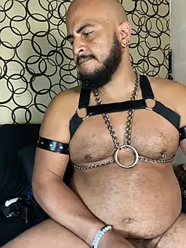 the_master_foal_ ওয়েবক্যাম শো