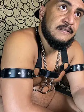 the_master_foal_ 웹캠 쇼