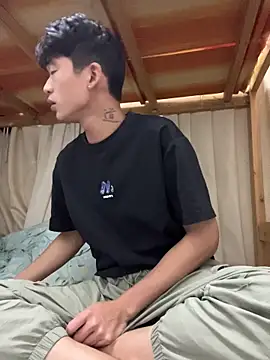 โชว์เว็บแคมของ NV-1