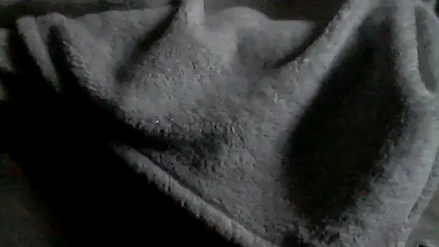 Show webcam de Silencio26