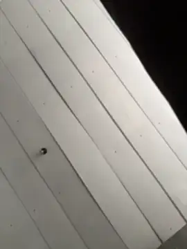 XXX chat uživo modela Iam-Sharifa