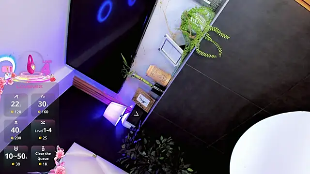 Diiva_Smiithのウェブカメラショー