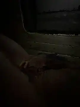 CorningReactor Webcam-Show