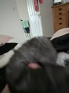 Show webcam de Furdale