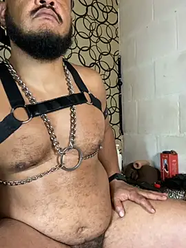 Webkamerová show the_master_foal_