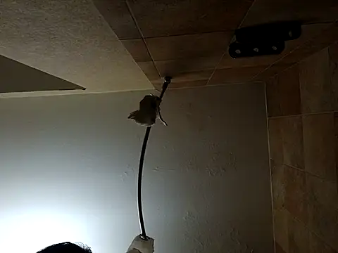 Shemalefucker79's Webcam Show