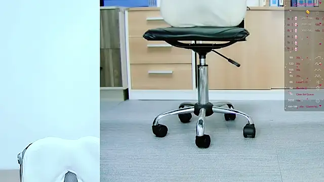 Show Webcam de tt50256