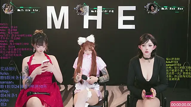 Show webcam de MHe-002