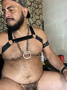 Chatroom XXX en direct de the_master_foal_