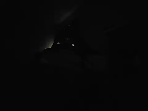 dominatingblacklove's Webcam Show