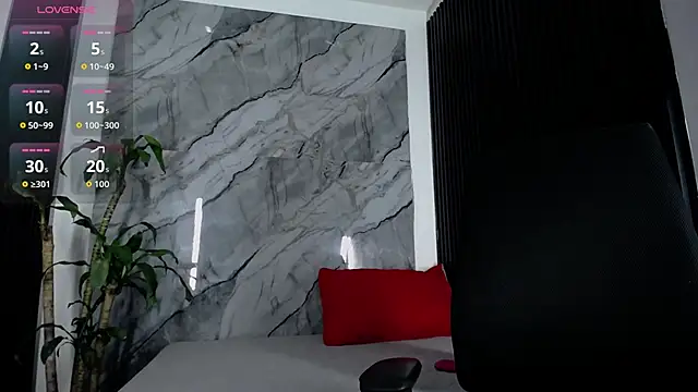 Grant_Ironsn Webbikameraesitys