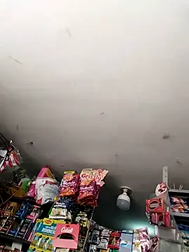 SexyandnaughtyLatinos Adlı Modelin Web Kamerası Şovu