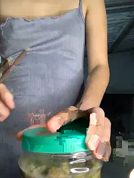 Sapphire-zz 网络视讯表演