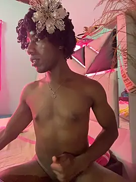 Pertunjukan Kamera Web AnelimDagota_