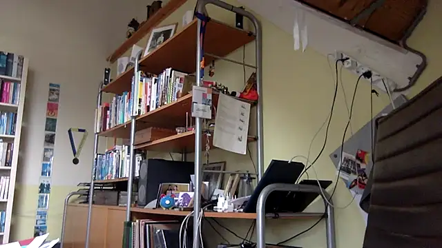 vaartmax webcam show