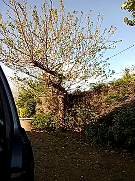 Show Webcam de BZH45