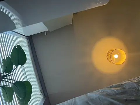 bibigcockgraber Live XXX-chat