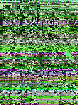 Cloe_pink1's Live XXX Chat